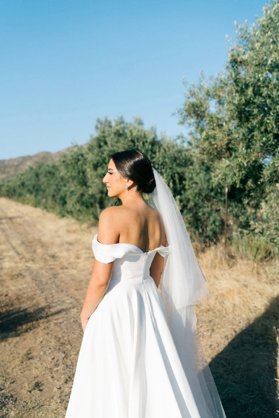 Blusher Veil | Wedding Veil with Blusher - Studio 3 Twenty One LLC